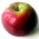 Evolving a healthy lifestyle. Preventative medicine of physical exercise and consuming clean air, water and nature based organic food.